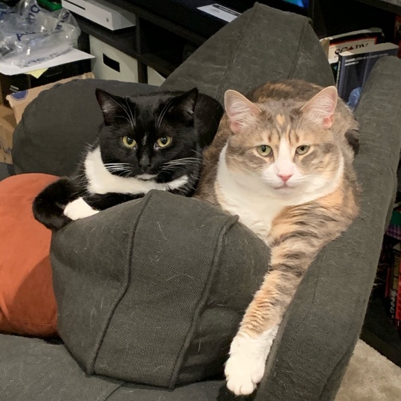 Meet Your Seller💛 - Picture 4 of 4